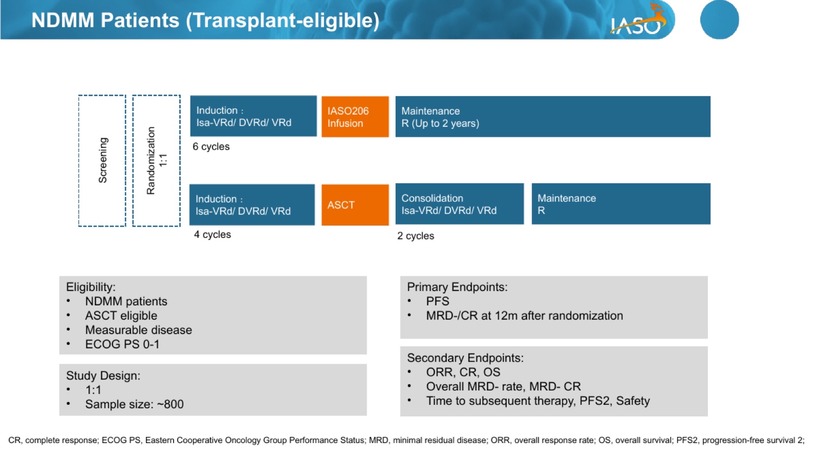 IASO206 CDP 2026-06-23 slide 11